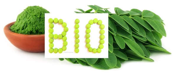 BIO Moringa PREMIUM Blattpulver 1000g Immunsystem+Fitness TOP-Qualität vegan, glutenfrei ...