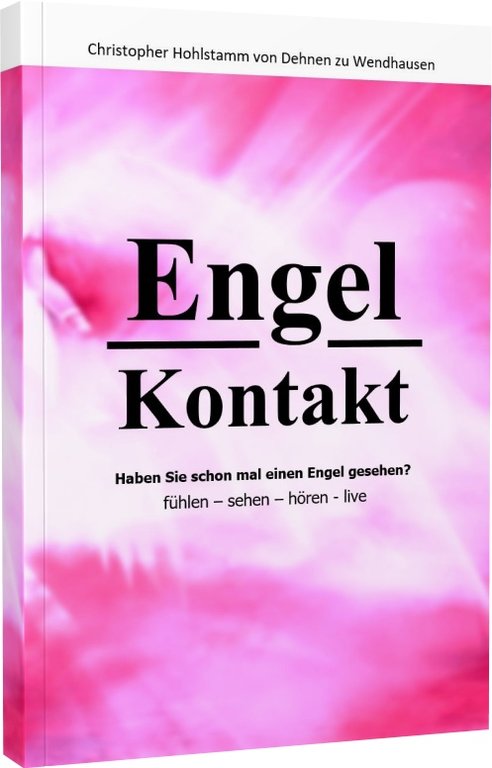 Buch: Engel-Kontakt - Haben Sie schon mal einen Engel gesehen von Chr. Hohlstamm von Dehnen z.W.